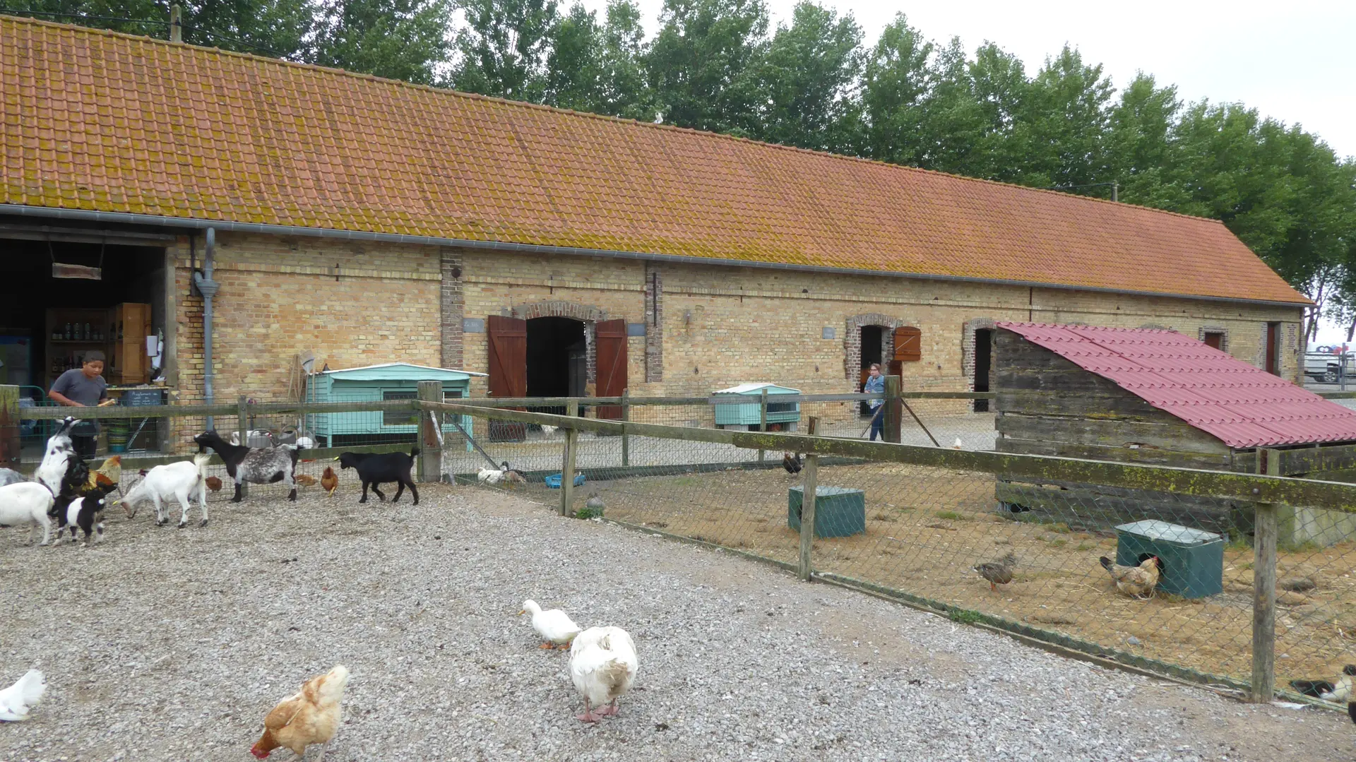 AsinerieduMarquenterre-Quend-animaux-SommeTourisme-TM15