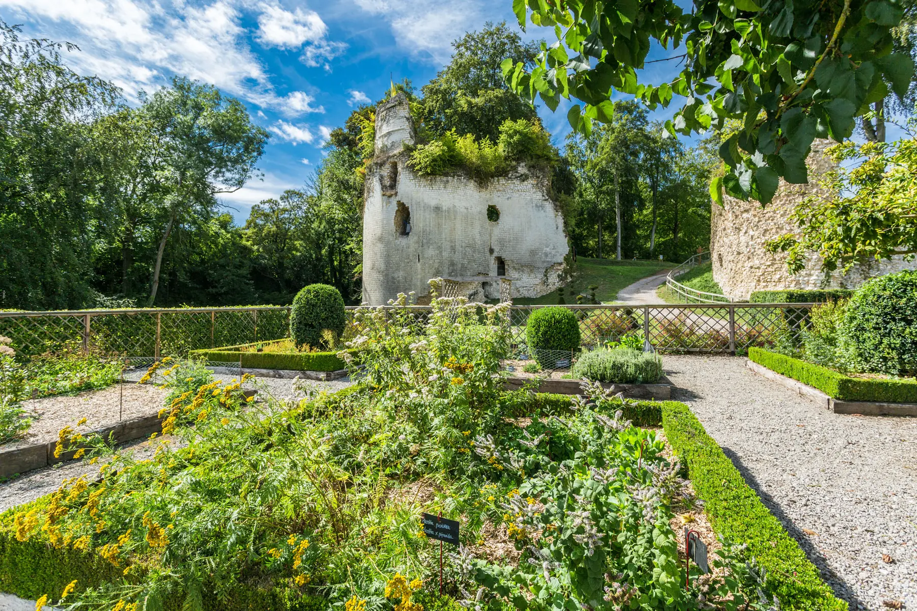 BB-FRESSINchateau-110818-0065-web