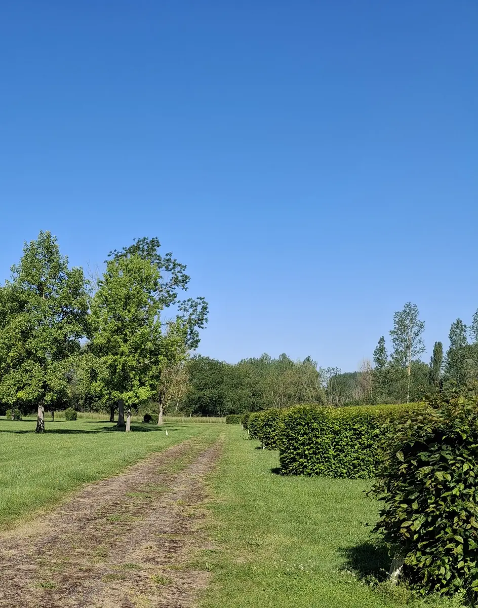 Camping de Ribemont
