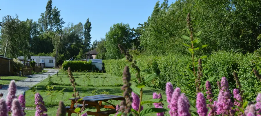 Camping de la Petite Forêt