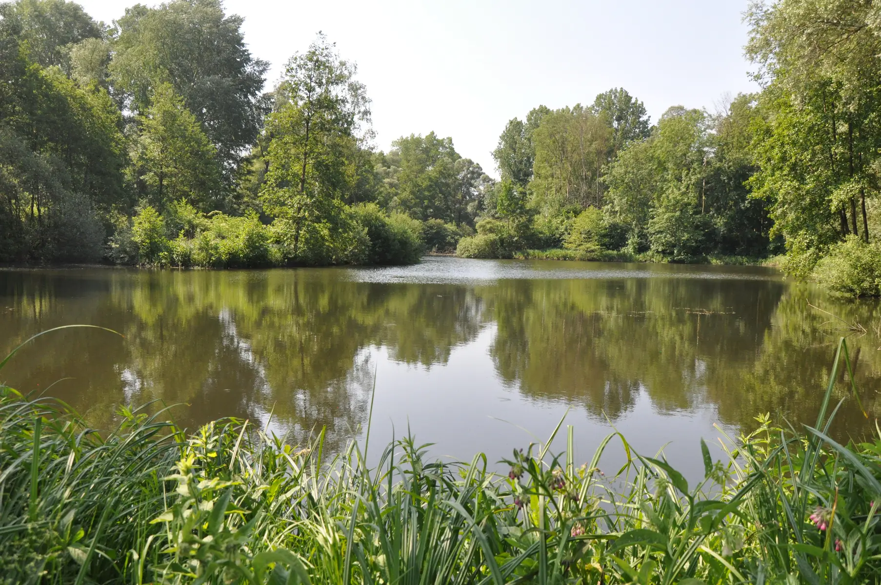 marais_samara_otns