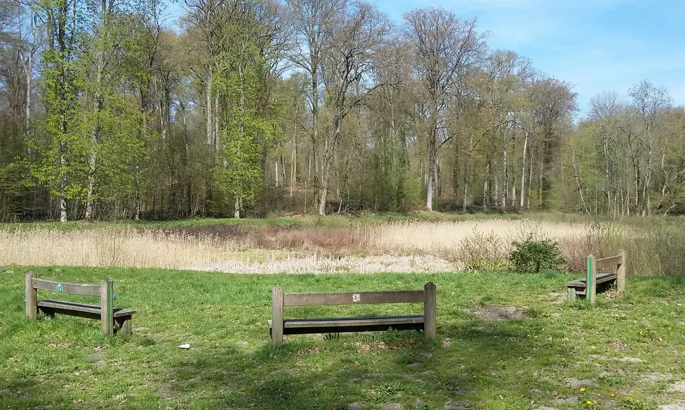 Etang de Malva - foret de Retz