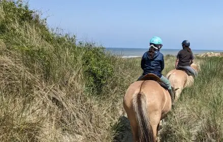 Equitation dune