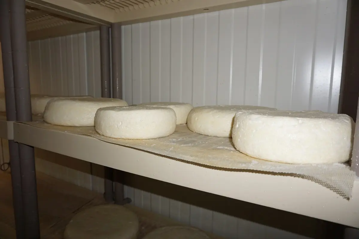 Ferme Top - Pitgam