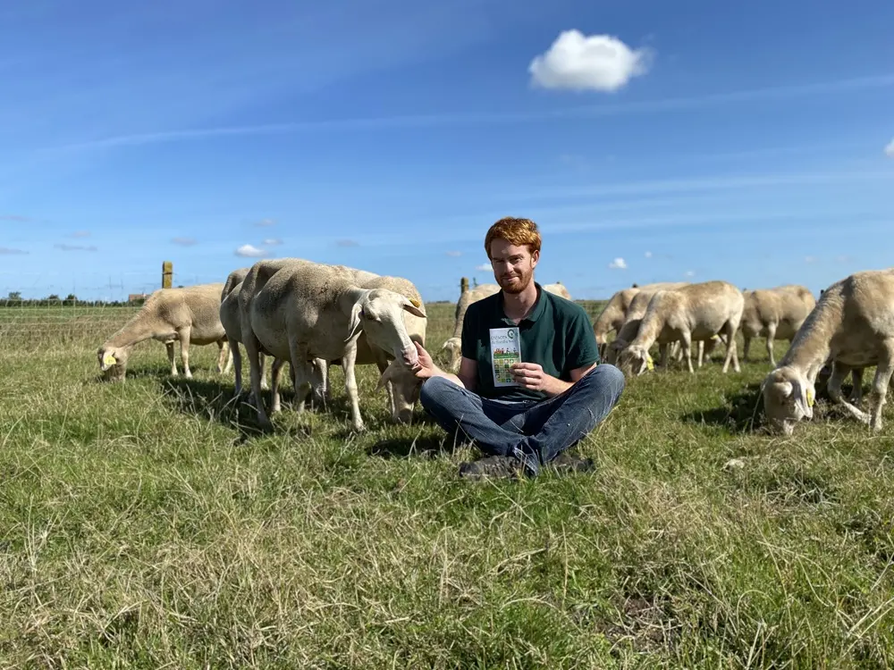 Ferme de l'haezepoel Hondschoote - M. Decramer (1)