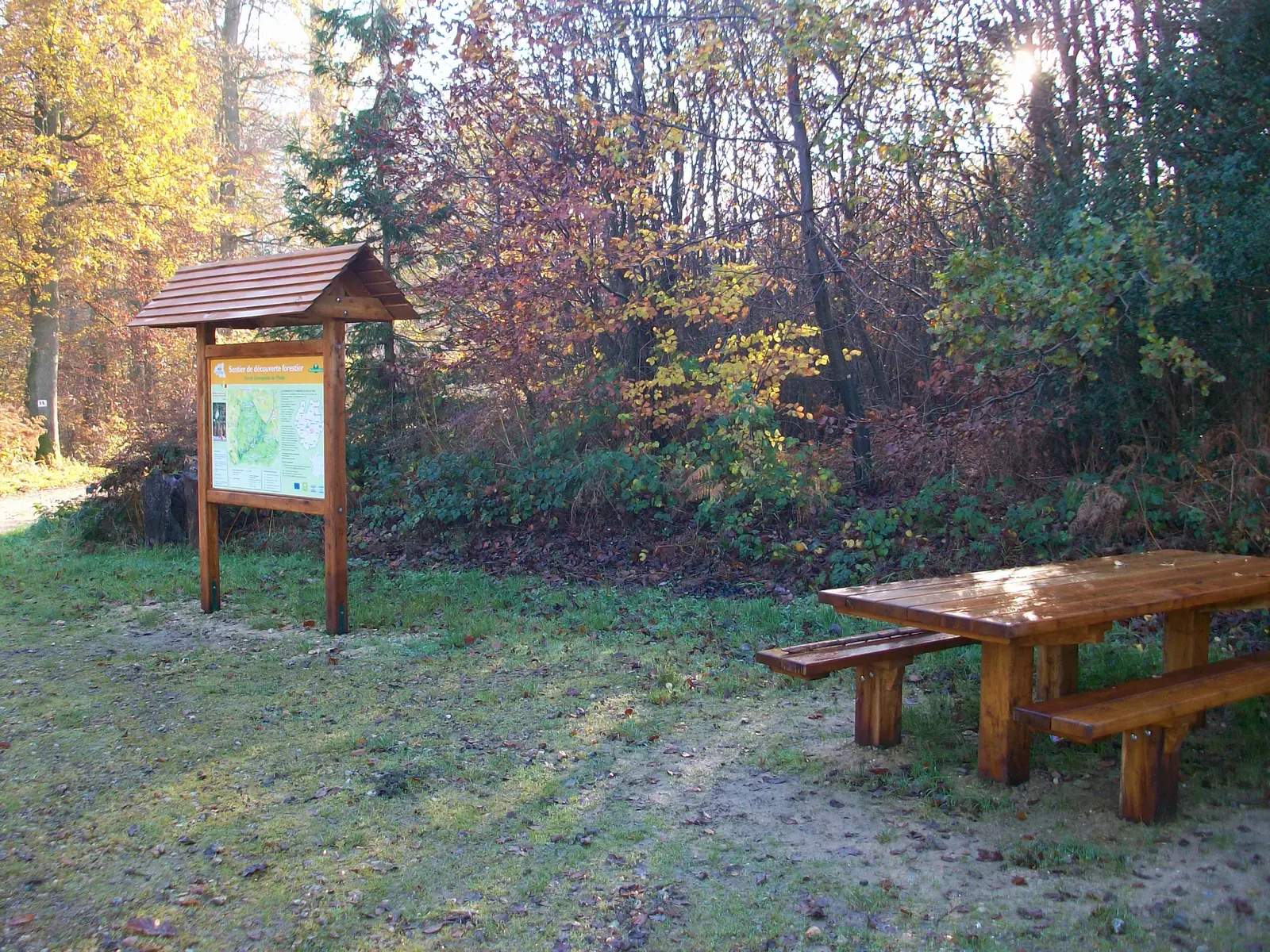 Forêt de Thelle