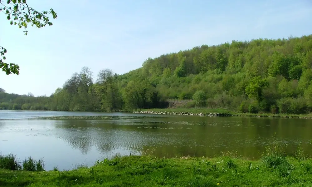 Etang de la Ramee en foret de Retz