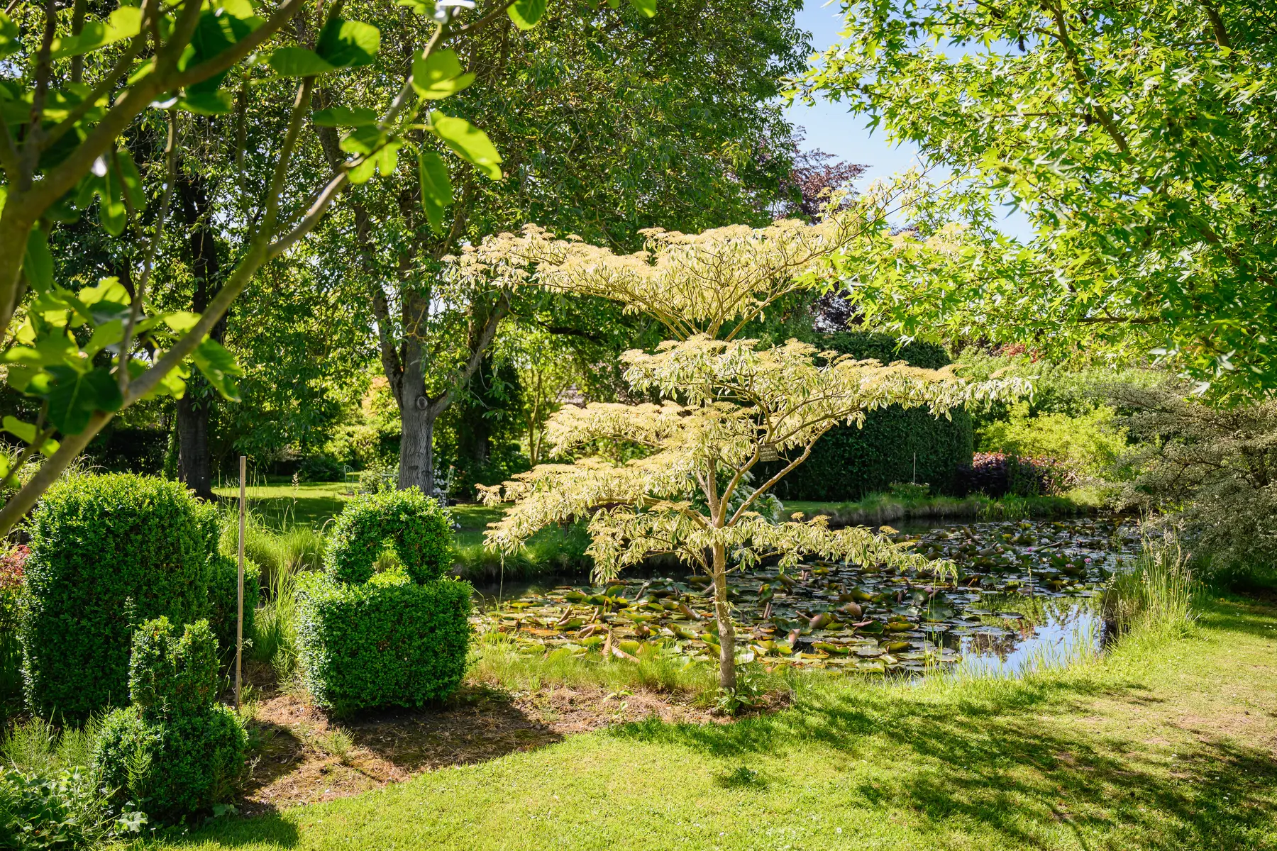HERCHIES_Jardin-Du-Brule_2026©VincentColin (27)