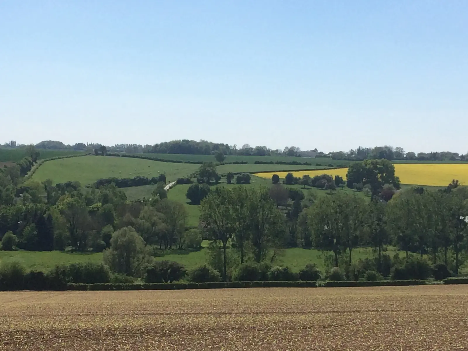Paysage Picardie Verte