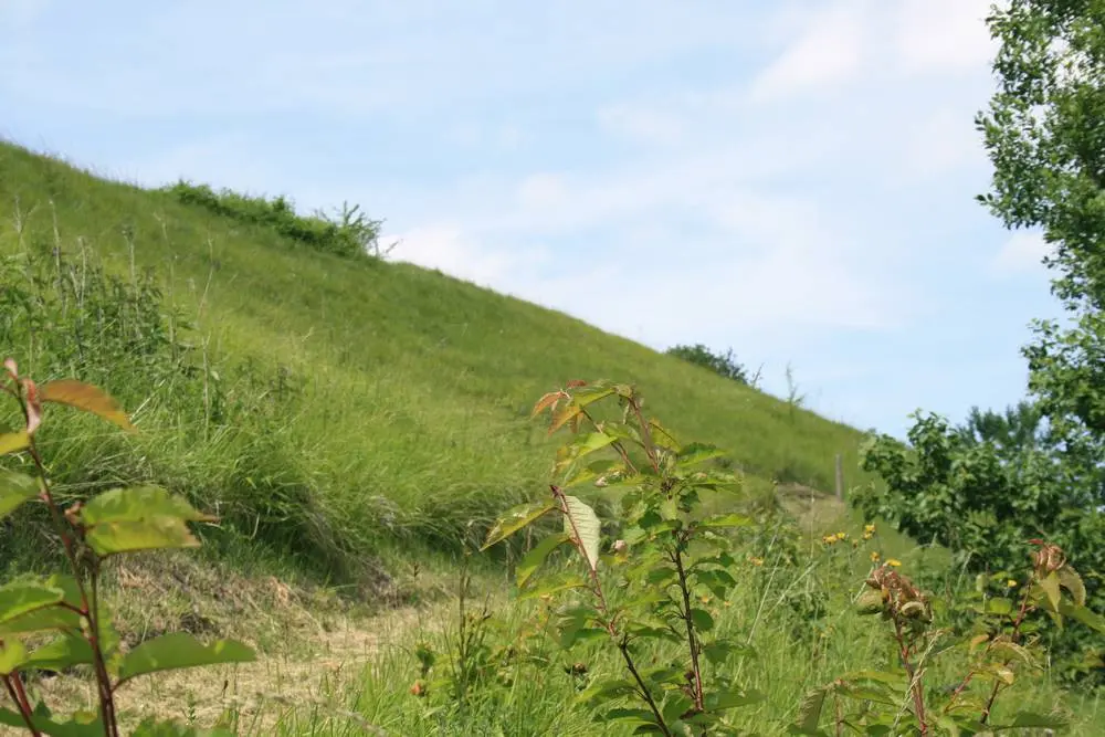 Falaise < Tupigny < Aisne < Picardie