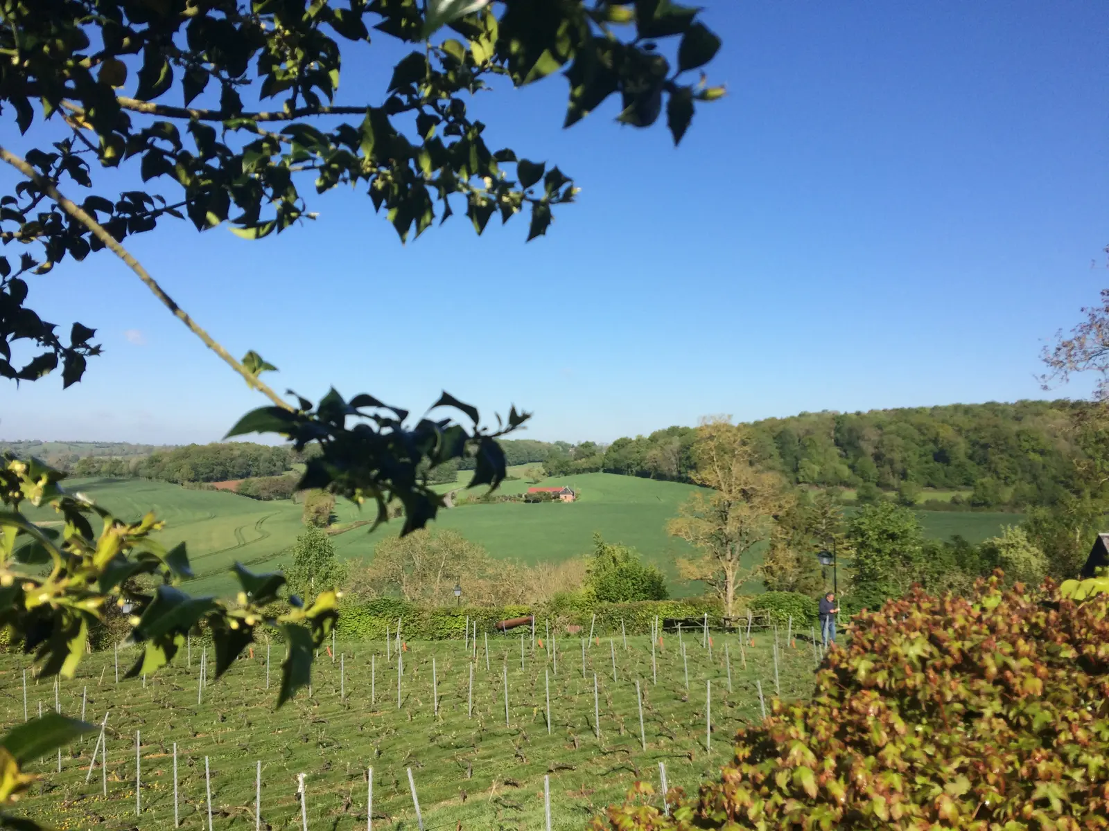 Paysage Picardie Verte