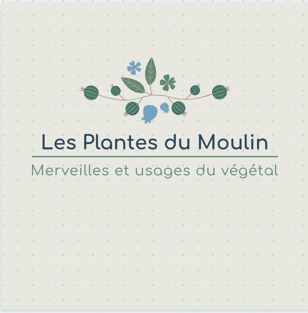 Iplantes du moulin fond clair
