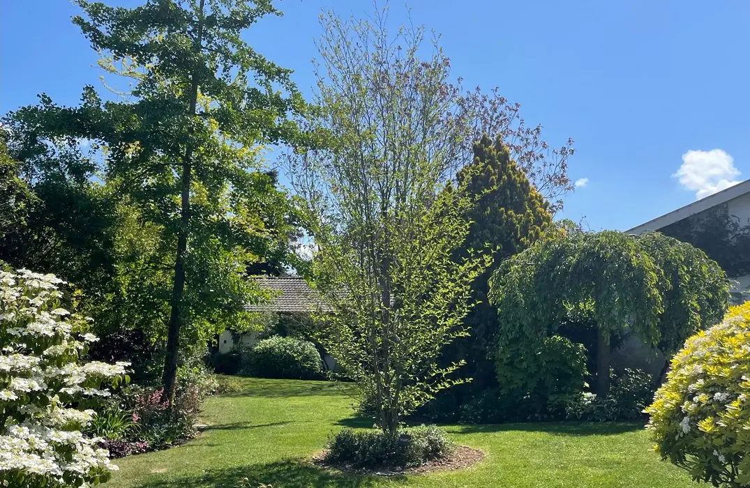 Jardin Baume et Bonheur©V.Armbruster