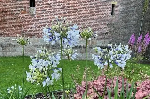 Jardin de la Paix