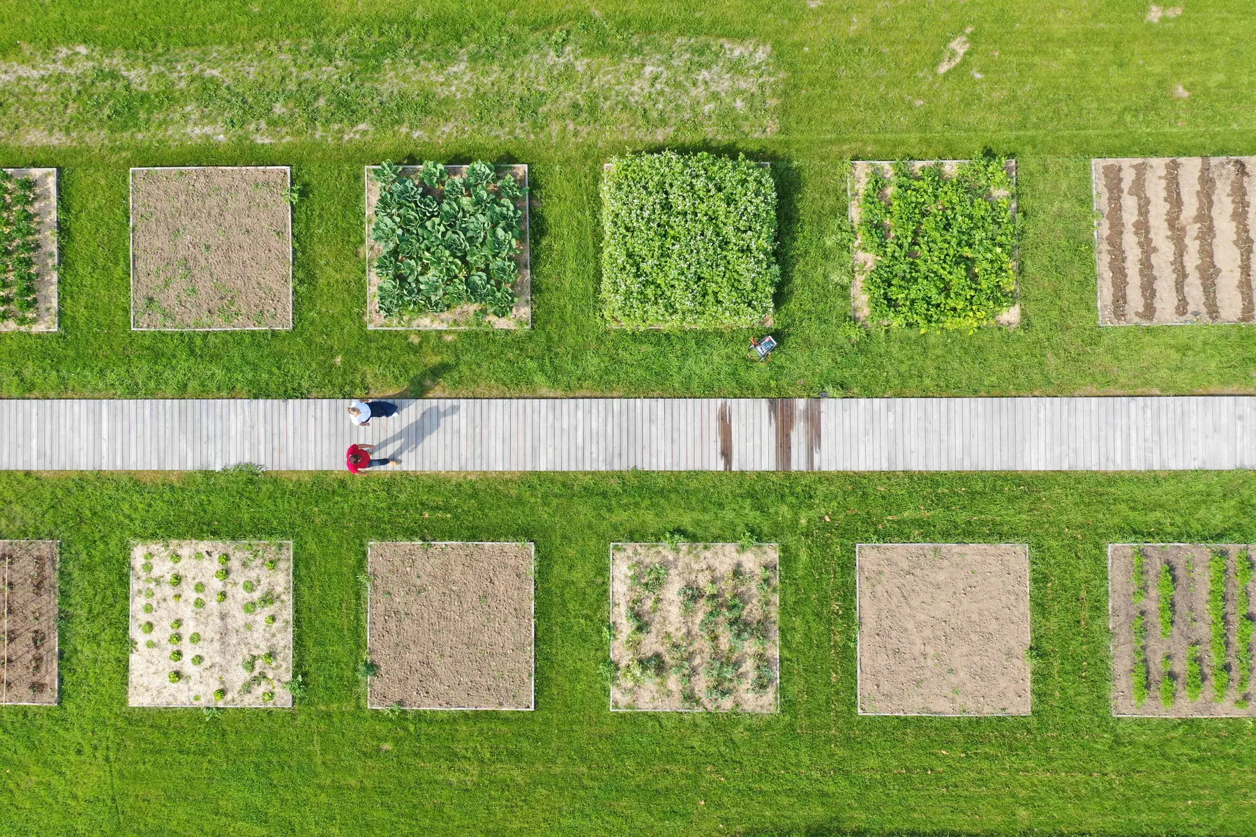 ardin du Potager Conservatoire Couple