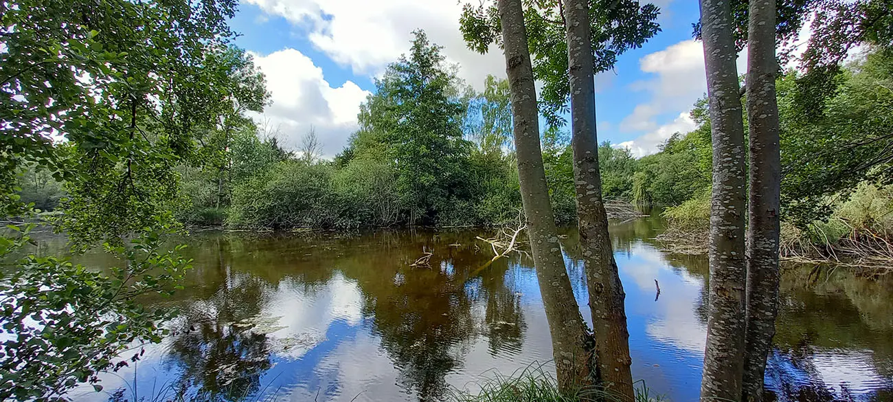 Sortie marais Solitude < Laon < Aisne < Hauts-de-France