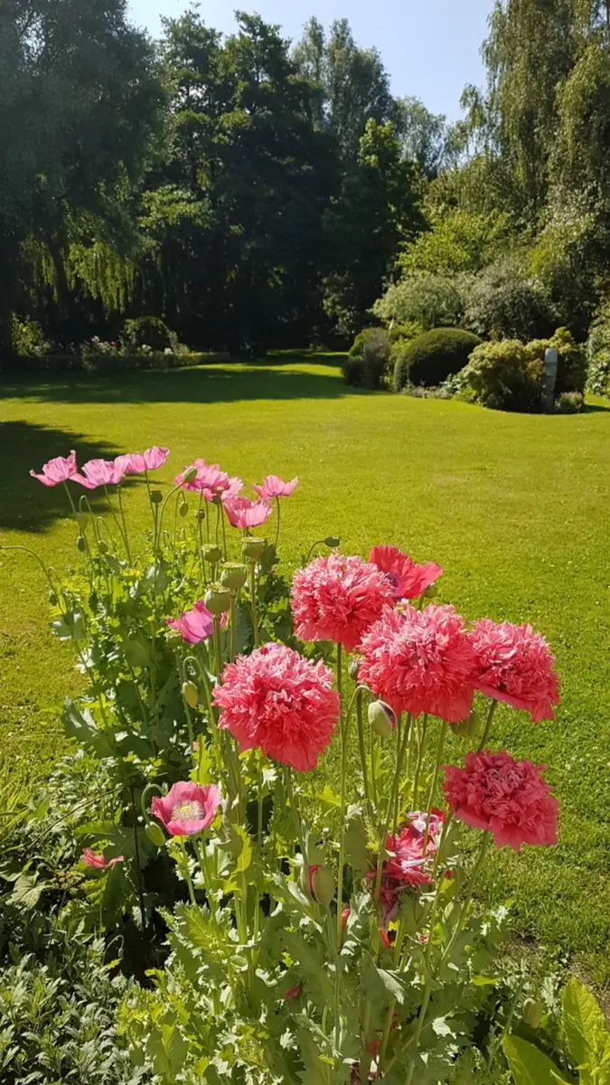 Les Jardins Hoymille accueil velo