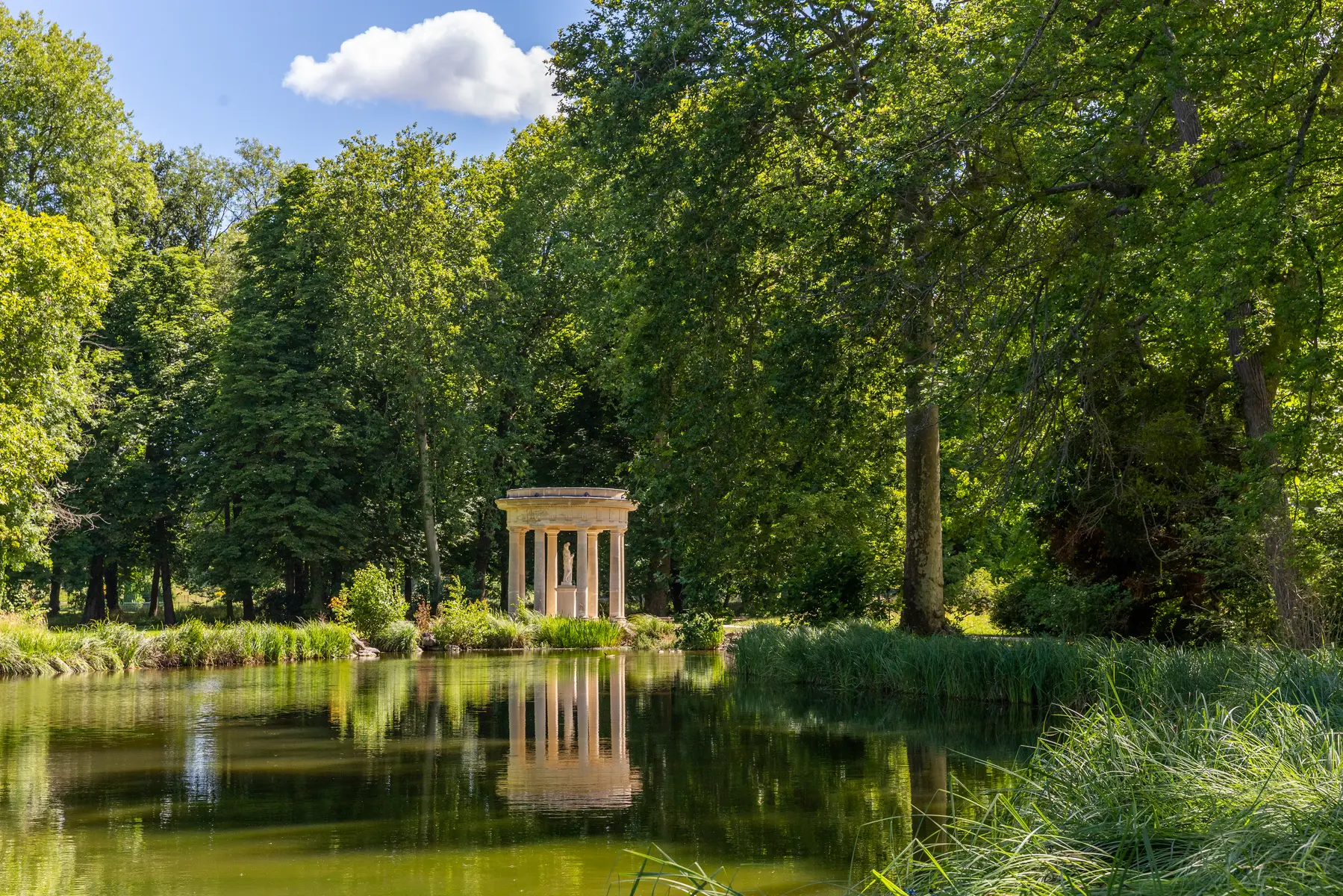 PARC_CHATEAU_CHANTILLY ©Thibault Charpentier