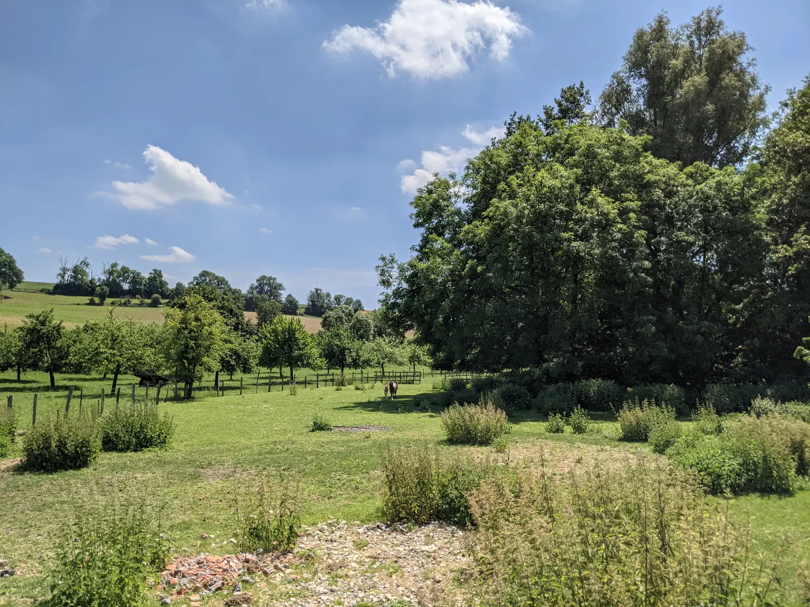 Paysage Picardie Verte
