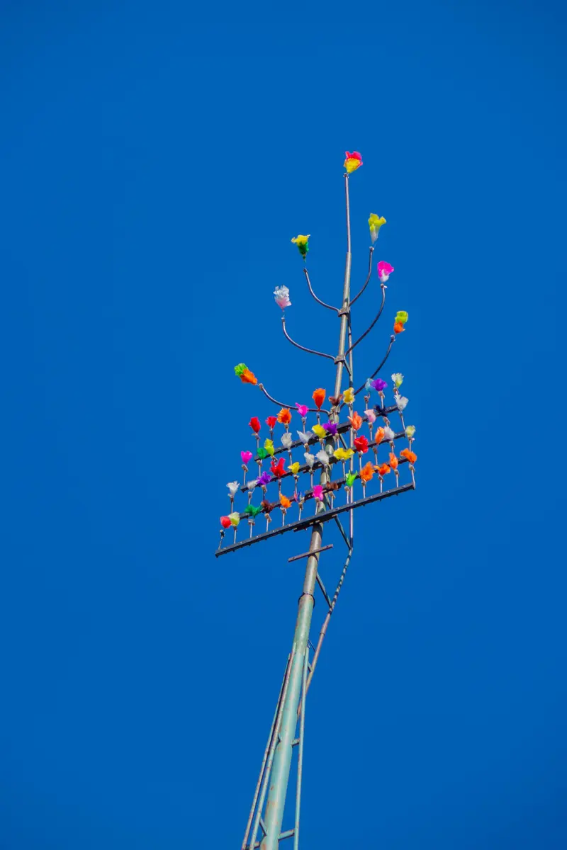 Tir a l'arc - aout 22-3