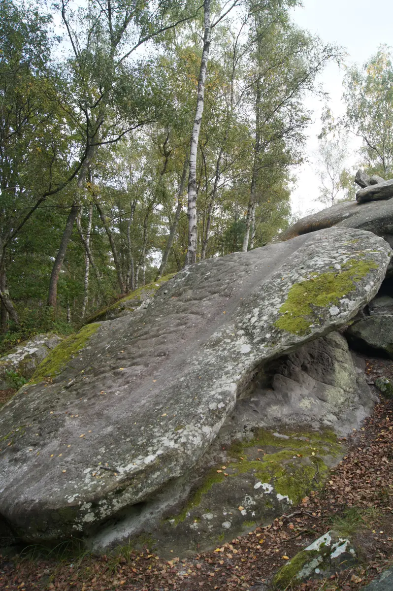Visite prépa sentier_RM