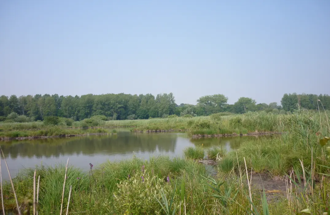 marais-belloy