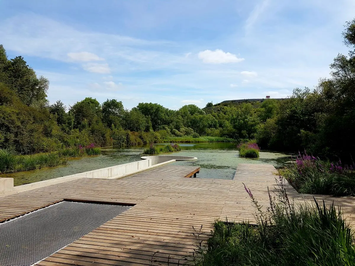 marais-de-la-galance_1