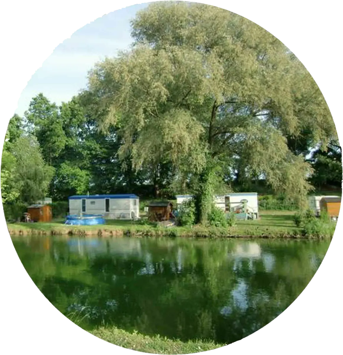 colvert-1
