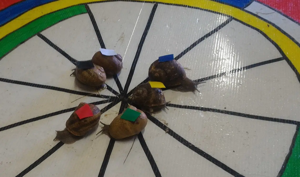 escargot sur cible - Copie