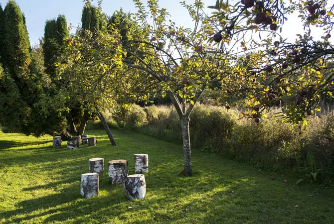 hebergement-la-grenouille-la-madelaine-sous-montreuil-jardin