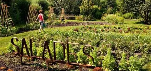 jardin vertueux