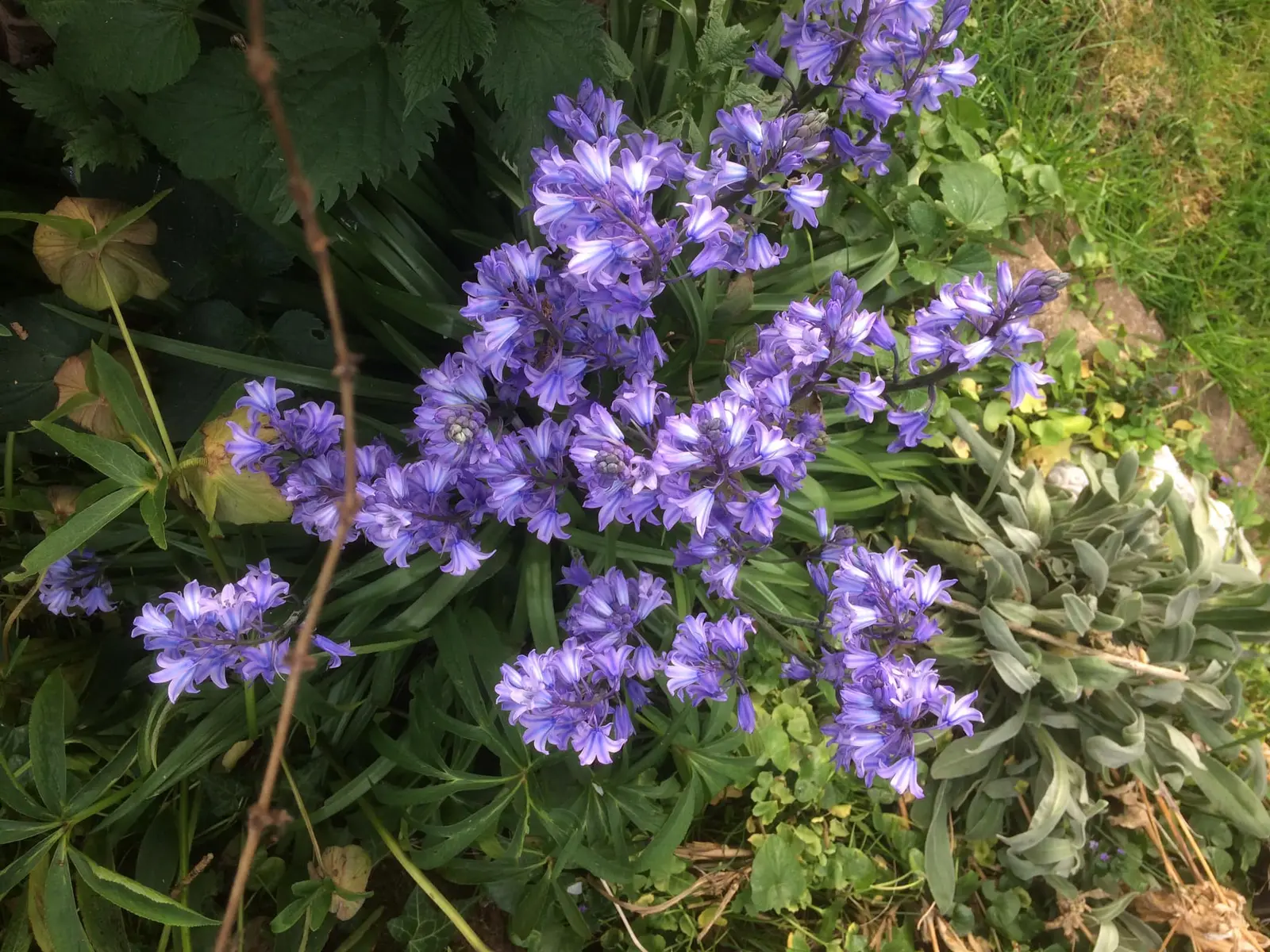 jardin citadelle