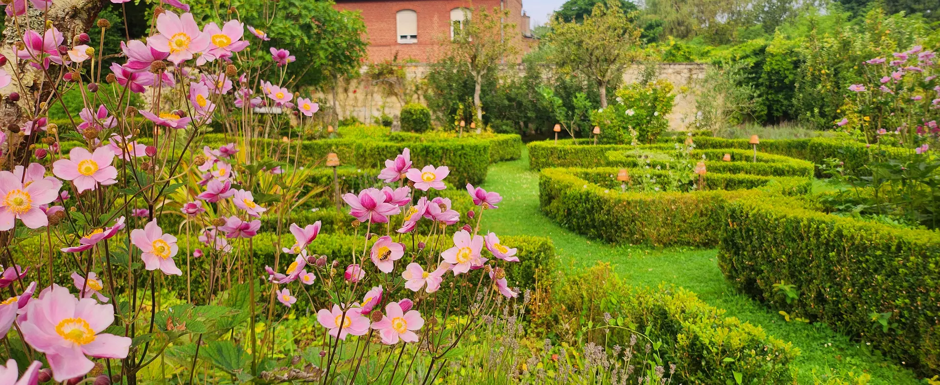 jardin de la bible (3) (1)
