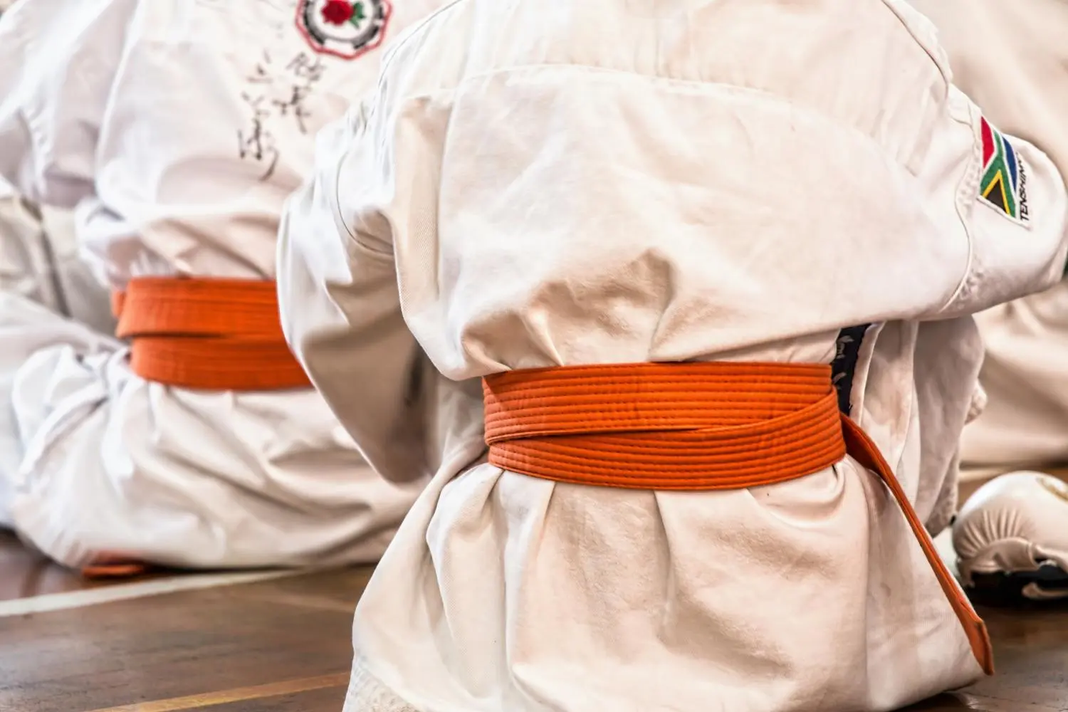 karate-gf15d0ee82_1920 (1)
