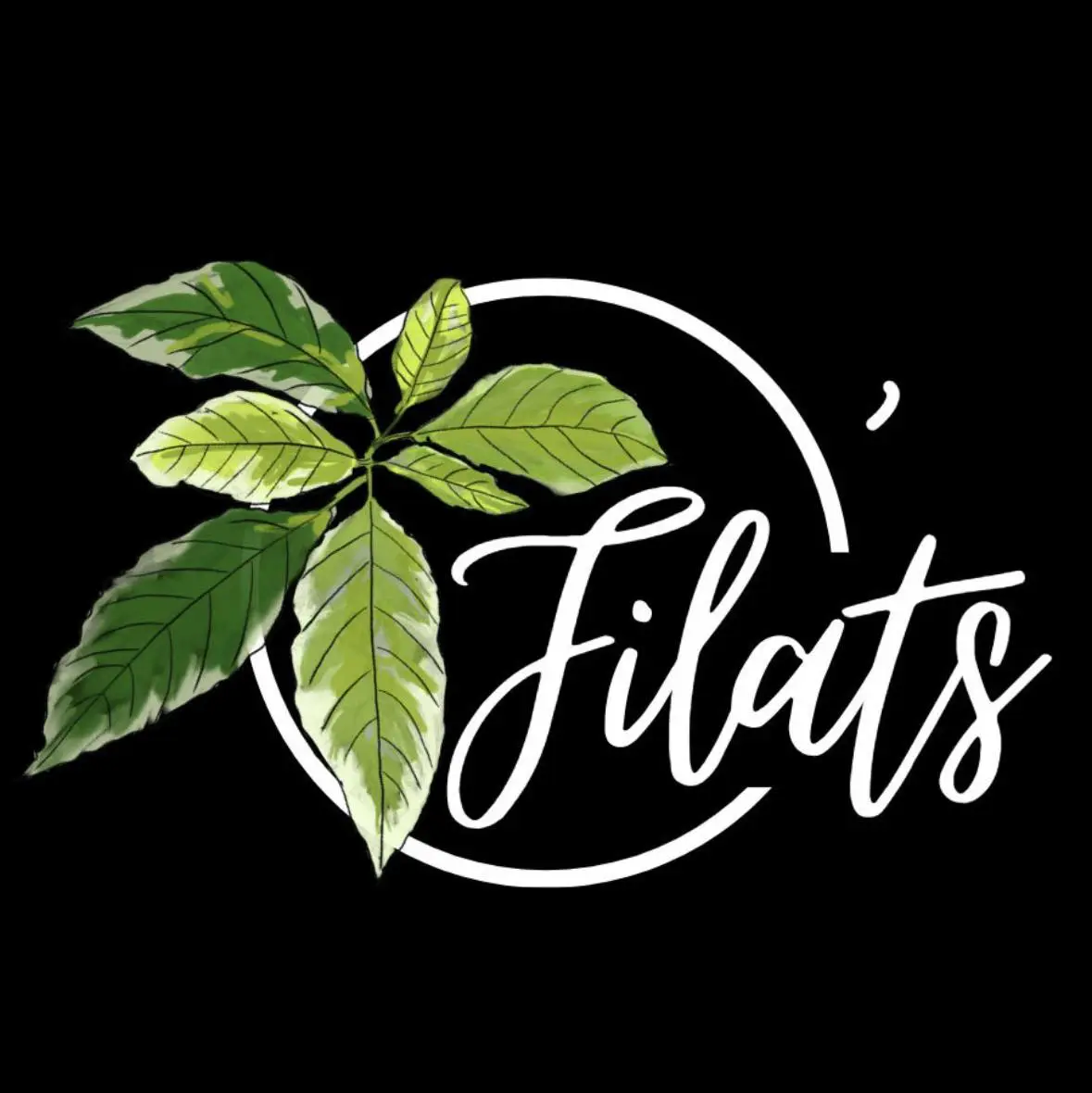 logo o filats