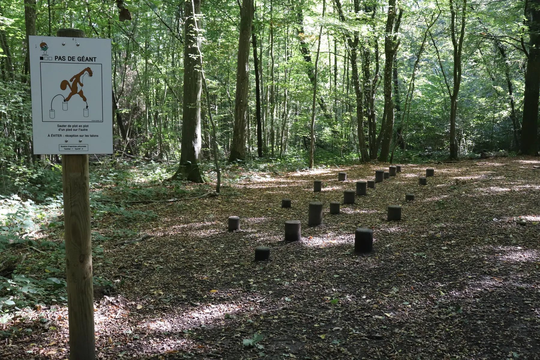 parcours santé bois magneux