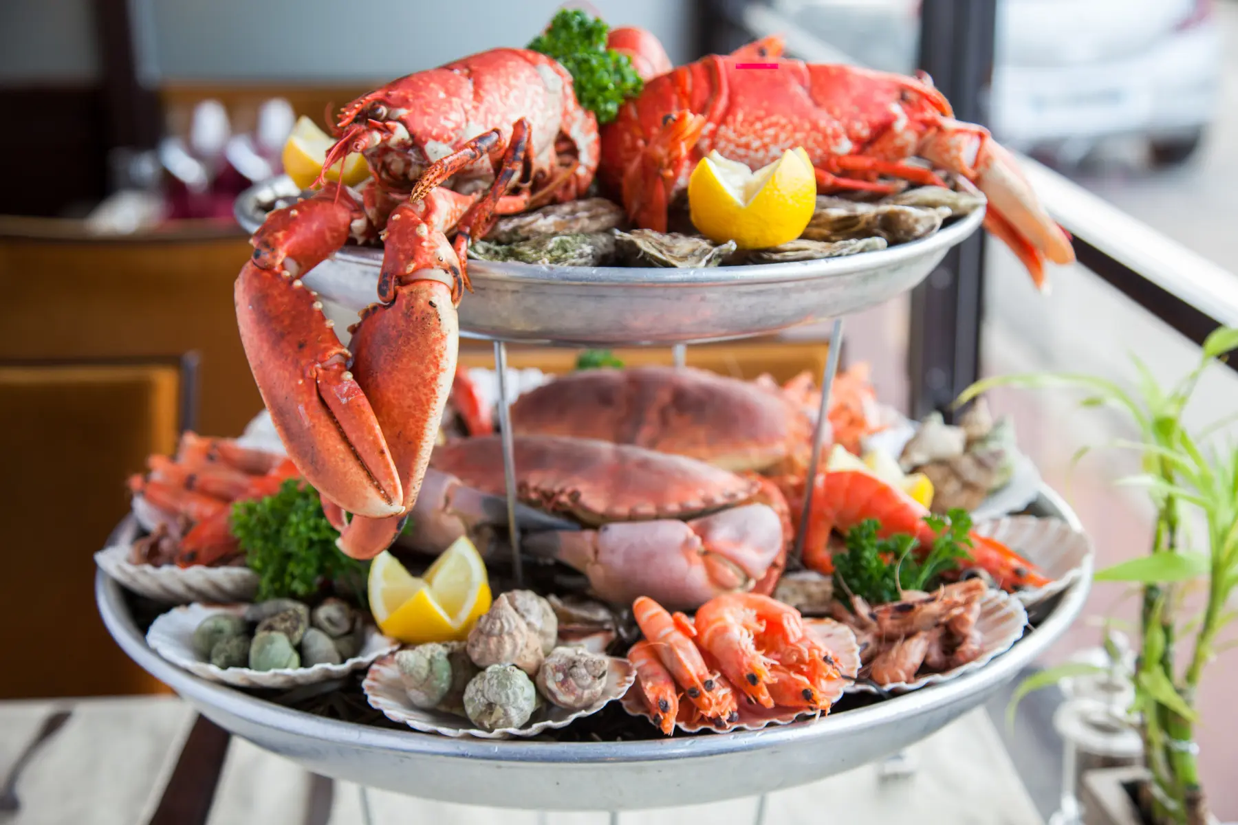plat-oh-mouettes-fruits-de-mer-crustaces