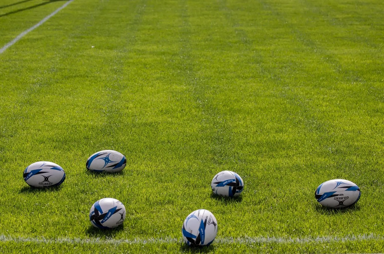 rugby-balls-g8eb196f64_1920 (1)