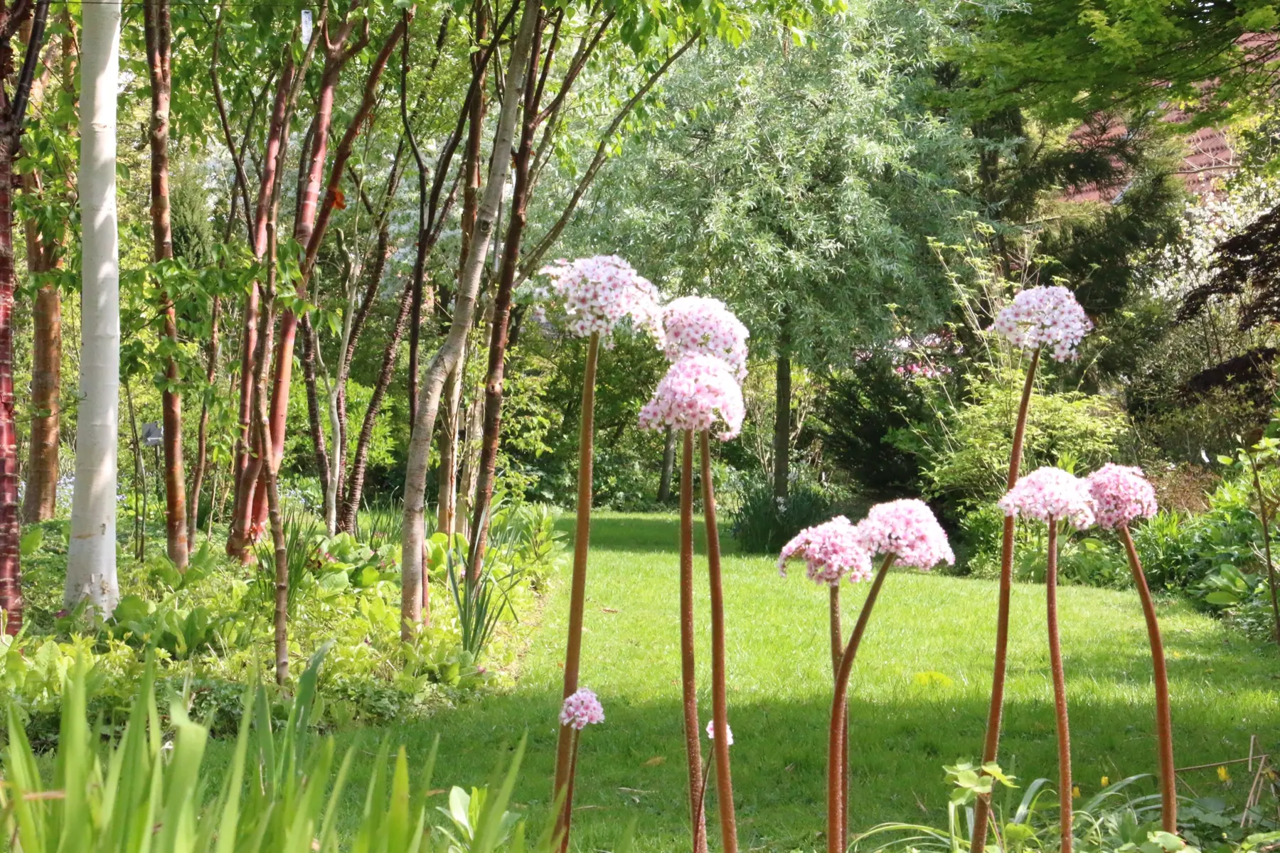 reflets de jardin aulx