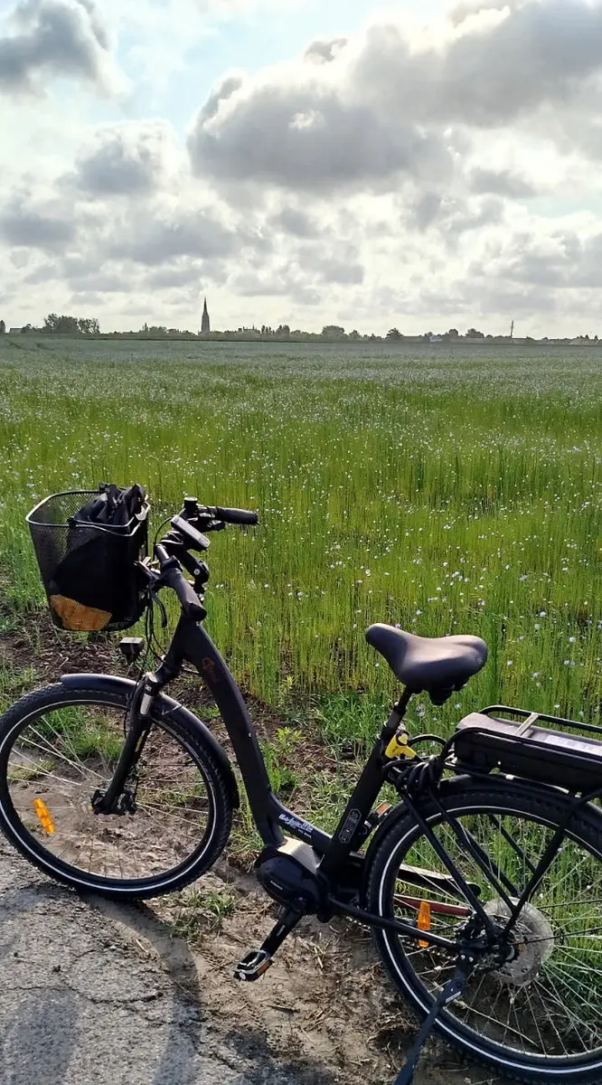 velo champ lin hondschoote - AL juin 2025
