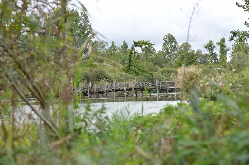 Marais de Fretin