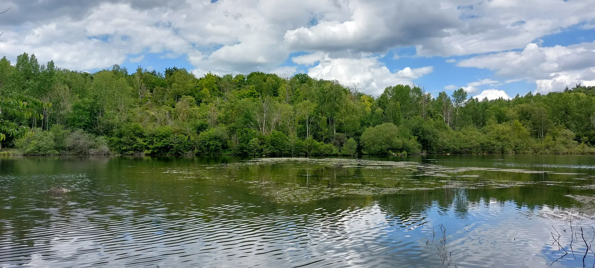 Etangs de Lavilletertre