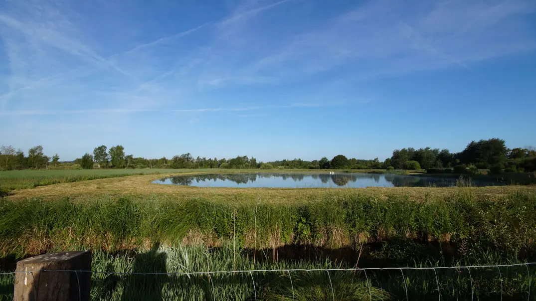Marais de Sacy