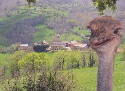 EARL Ferme de Montégut
