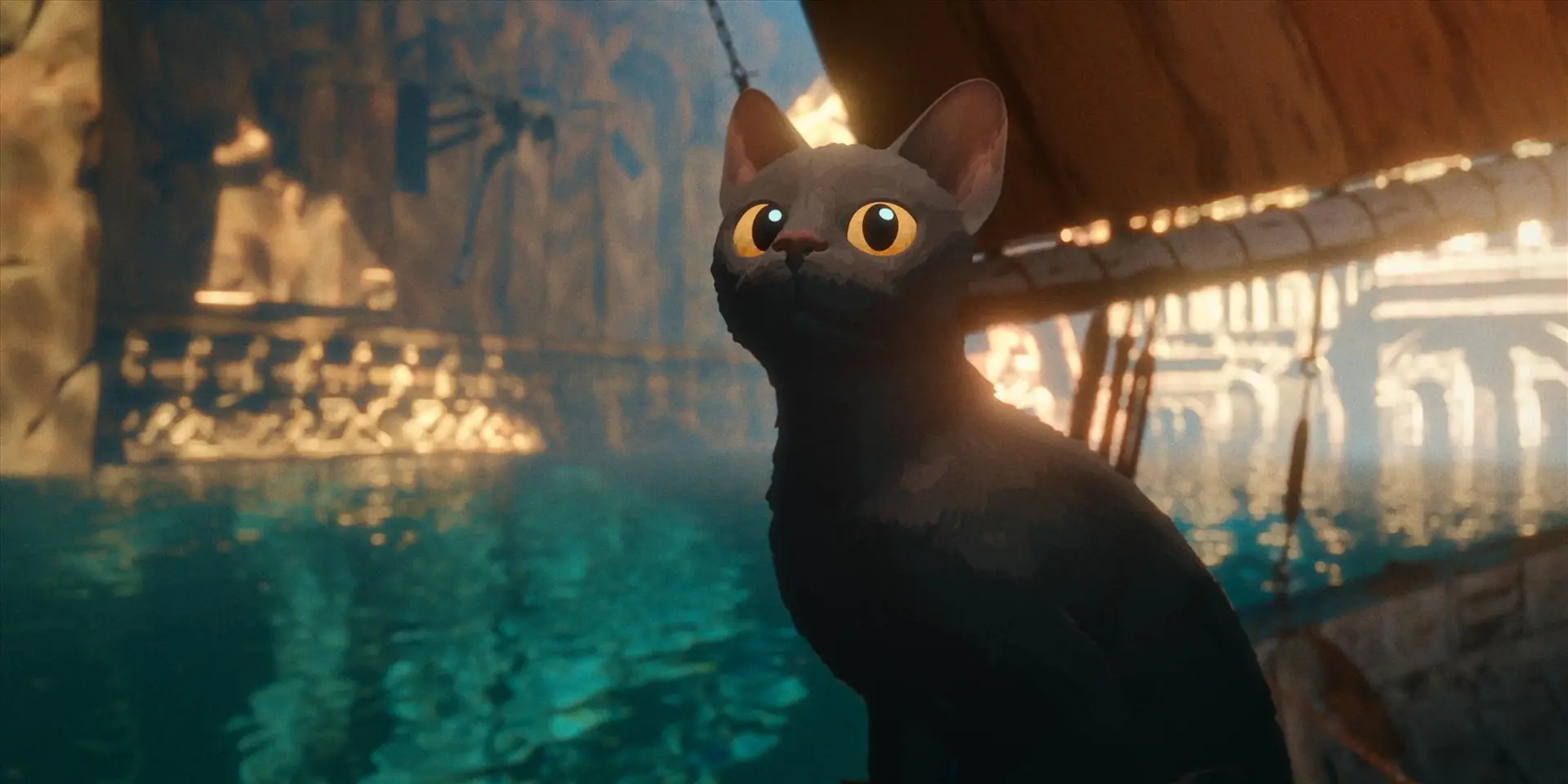Flow, le chat qui n'avait plus peur de l'eau