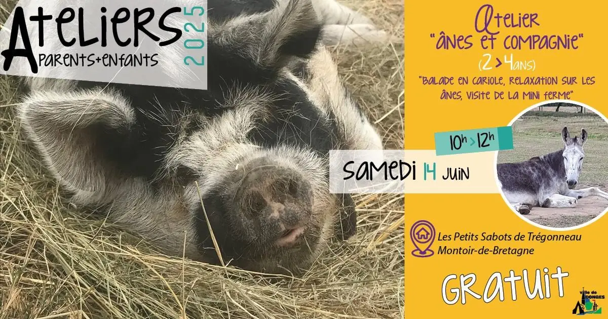Atelier parents-enfants 2-4 ans