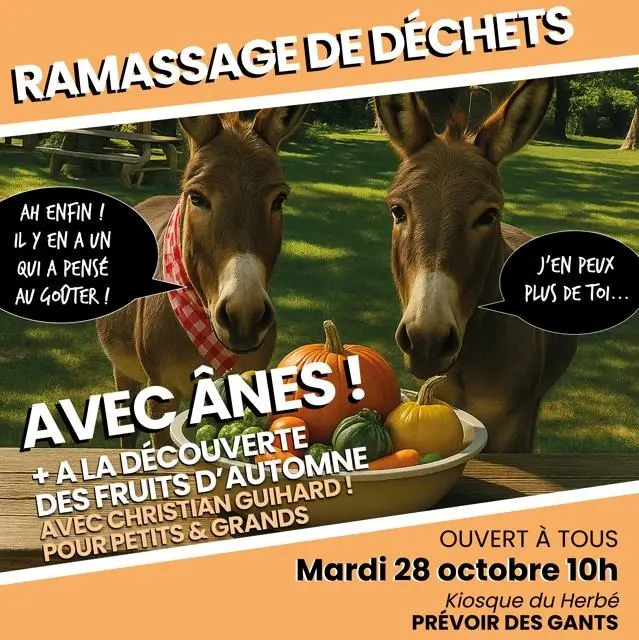Eco-balade avec des ânes