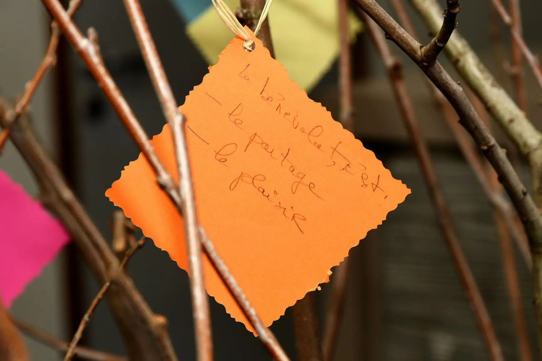 Agora fête le bénévolat