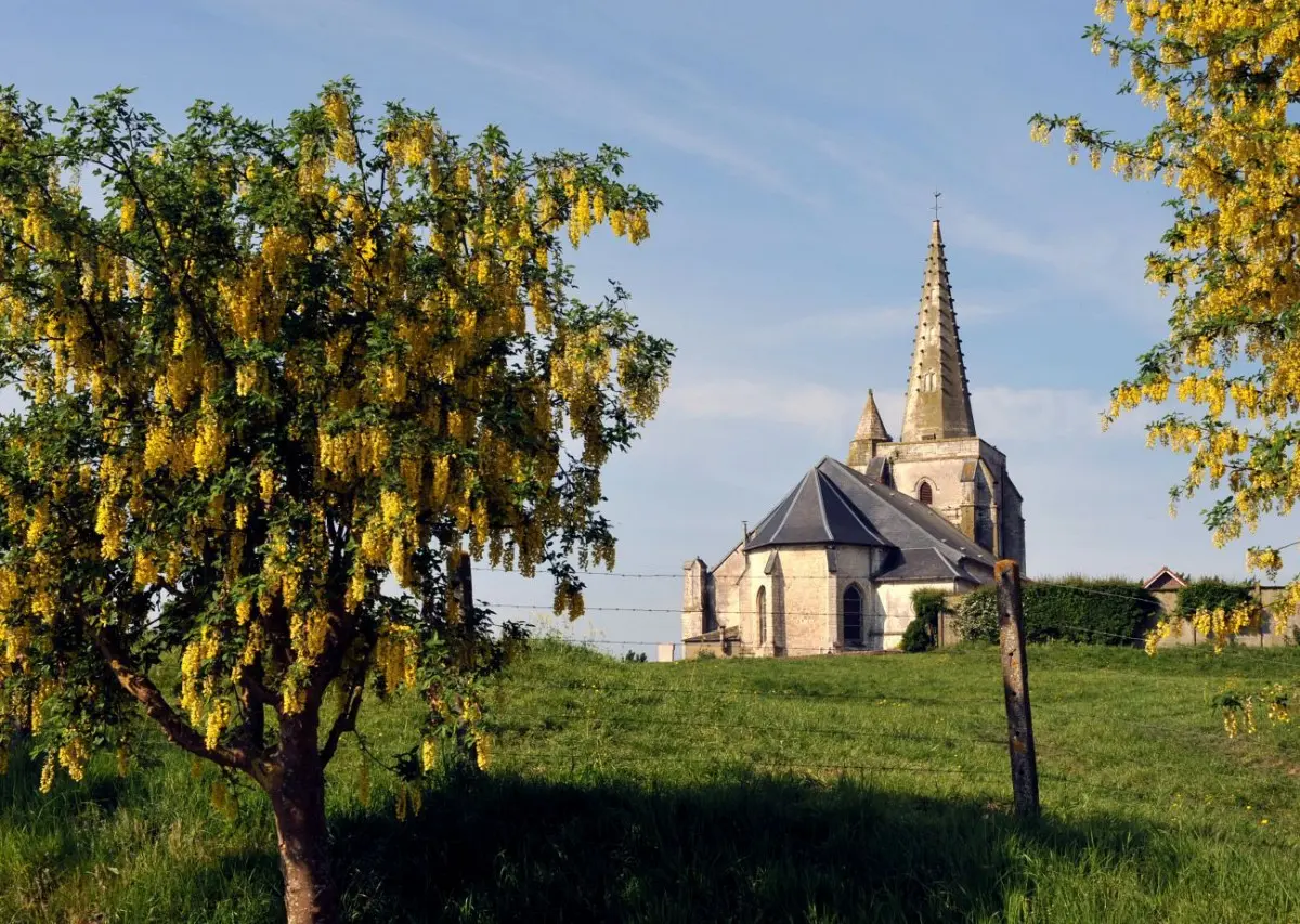 Le Mont de Drionville - Nielles-les-Bléquin
