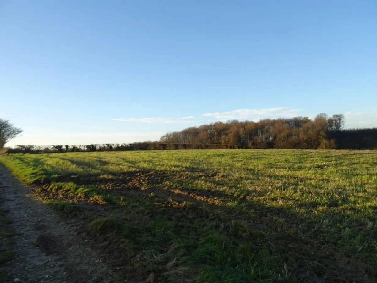 Les 4 Bois - Bouvelinghem